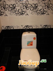 ������ ������� �.8-926-584-99-67