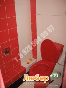 ������ ������� �.8-926-584-99-67