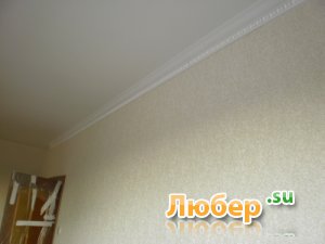 ������������ ���� ��������