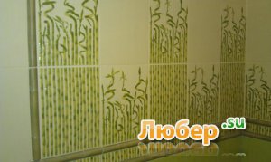 ����������. ���������. ���������. ��� ���� ��������-������������ �����.