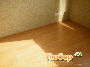 ������ �������, ������, ���������� �����