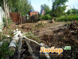 Расчистка участка. Покос травы,бурьяна. Спил дерева. Расчистка участка. Покос травы,бурьяна. Спил дерева.